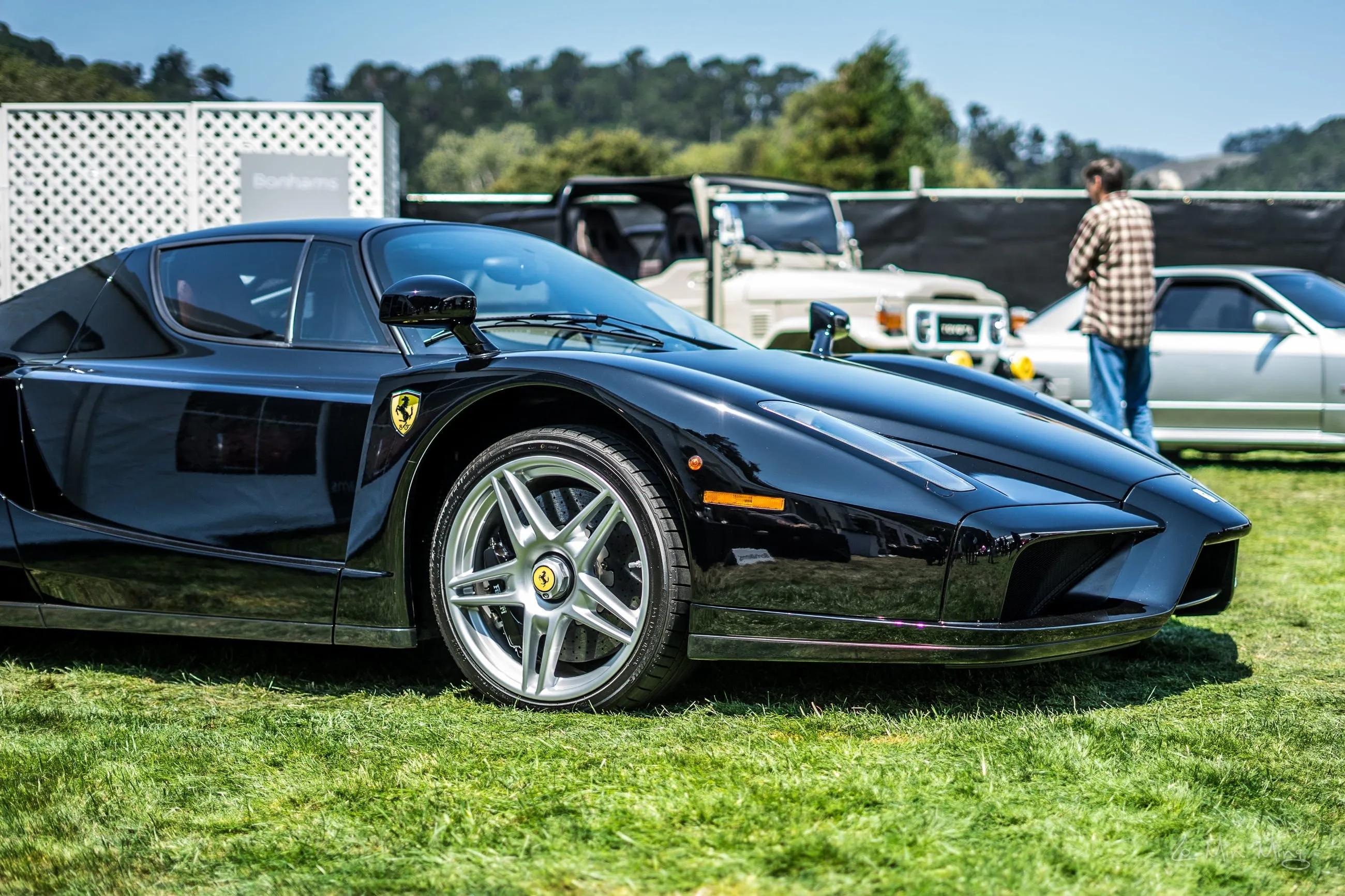 2003 Ferrari Enzo image 1