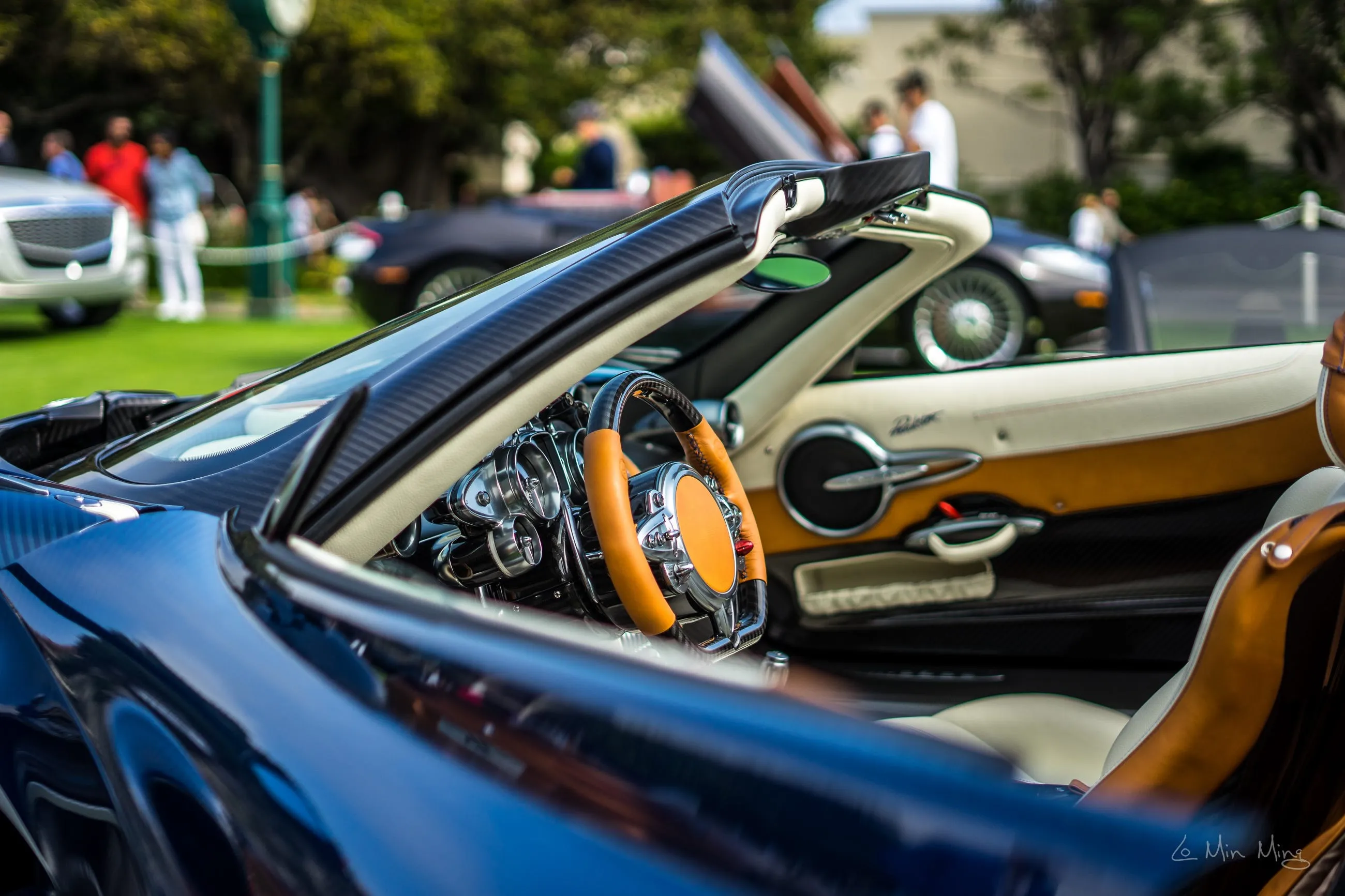 Pagani view 4