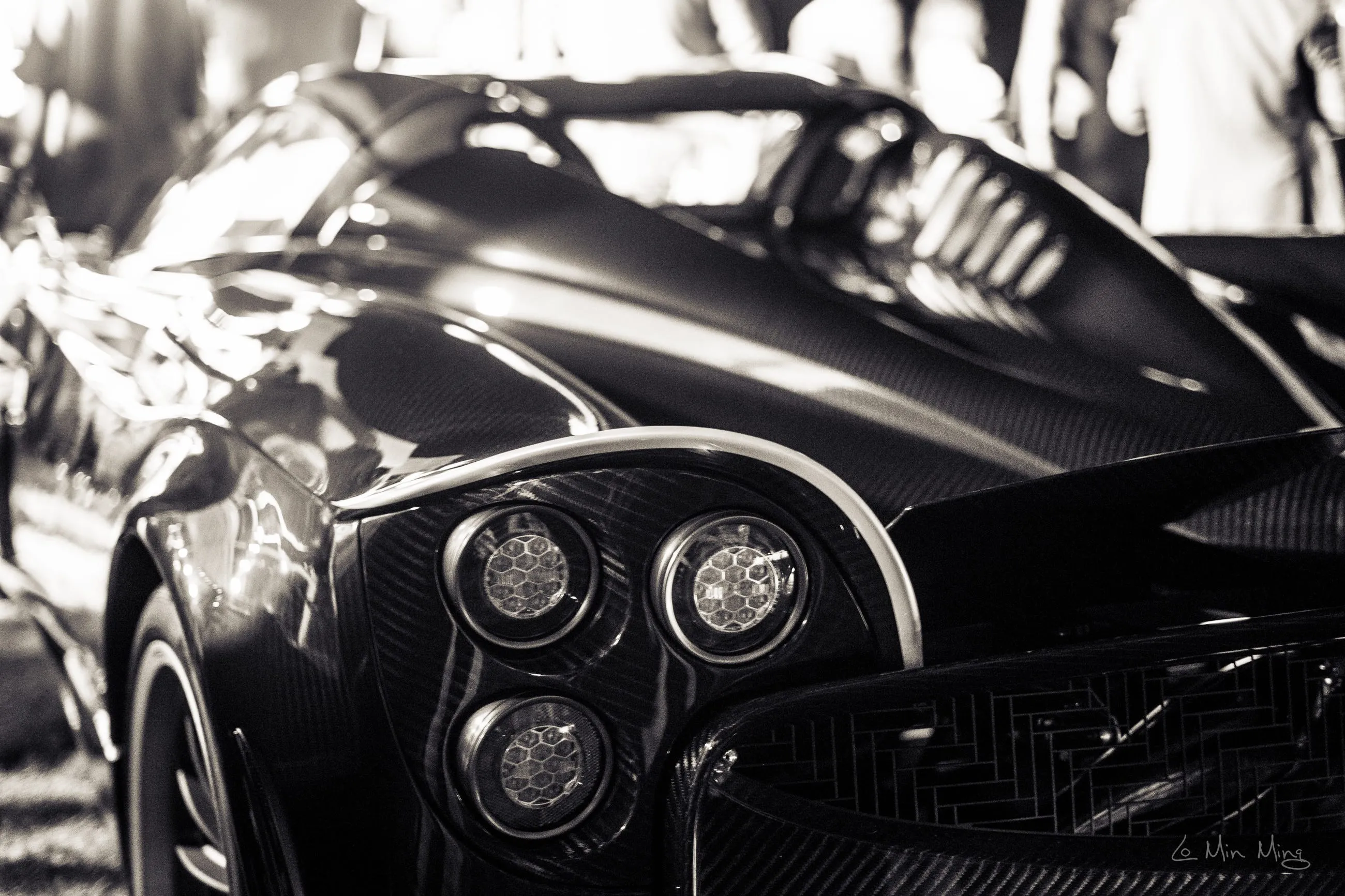 Pagani side mirror and weave