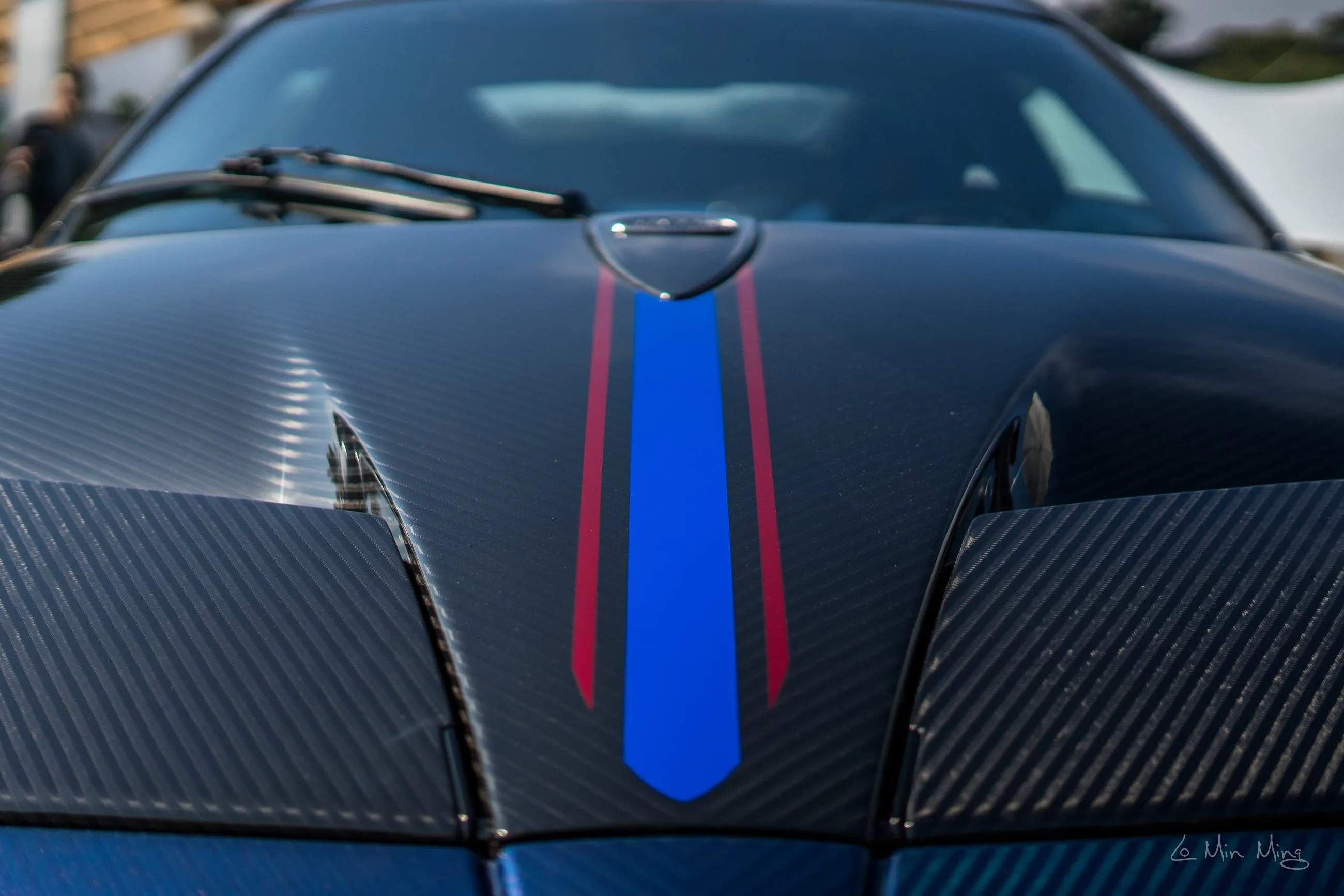 Pagani detail view 14