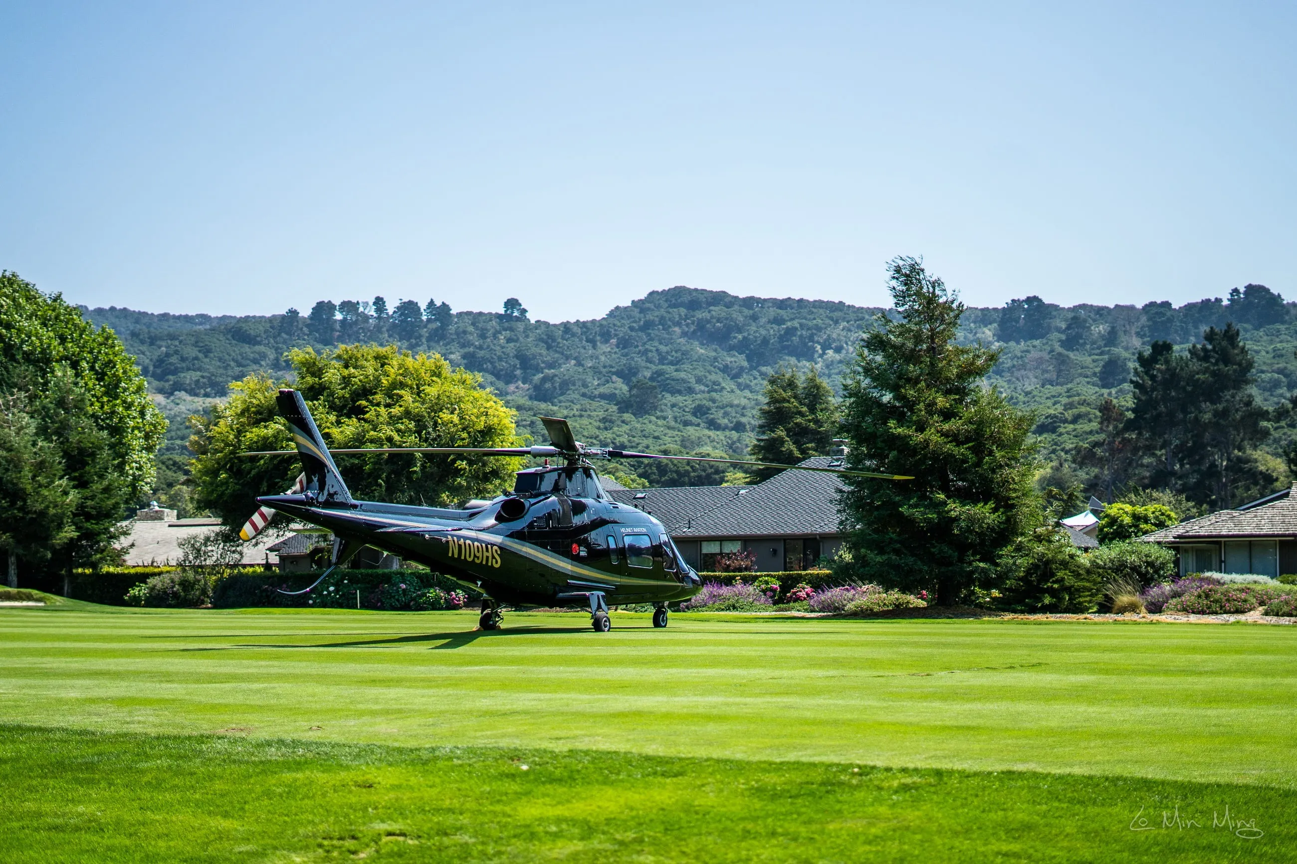 The Quail helicopter approach