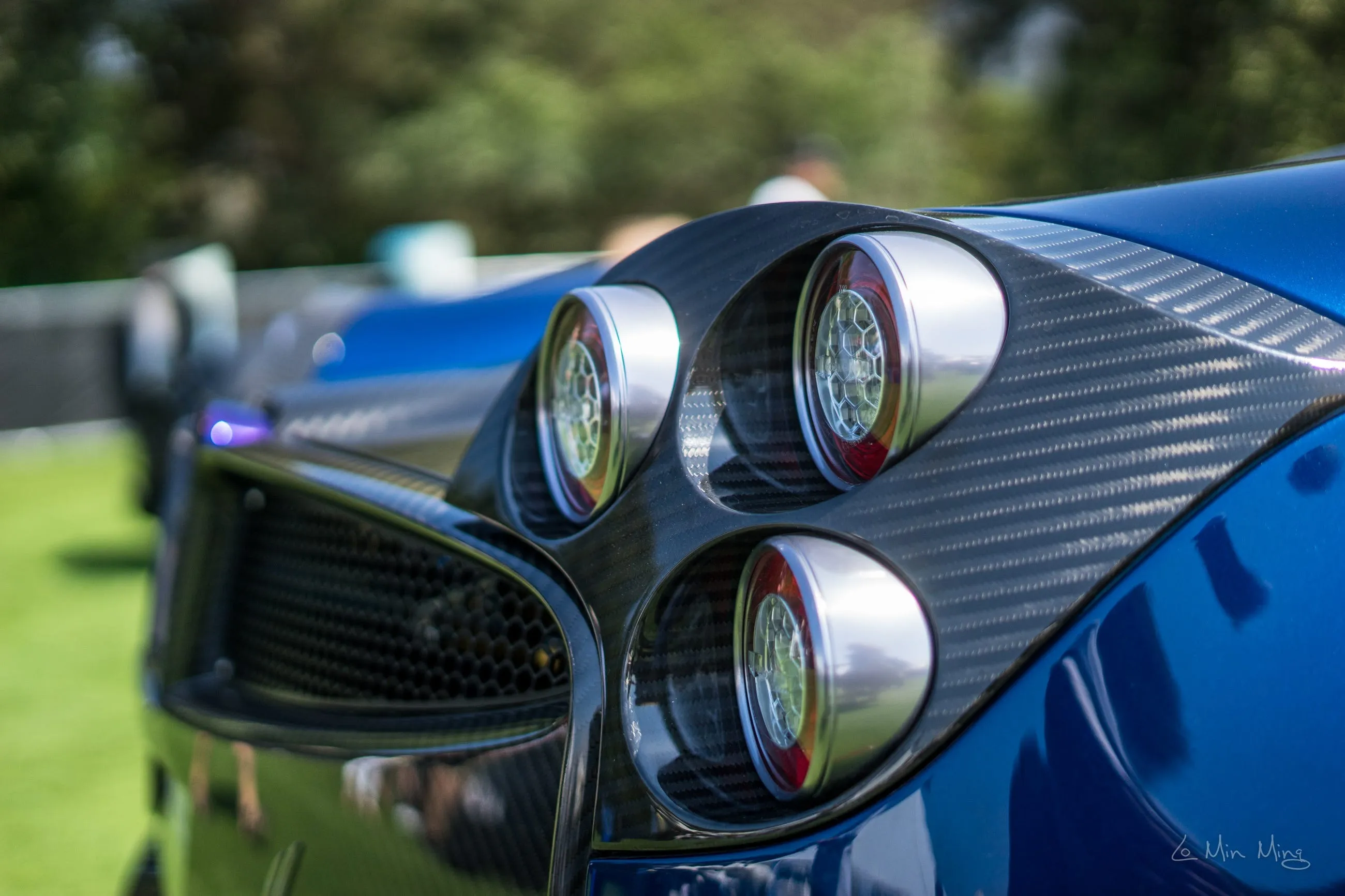Pagani material detail
