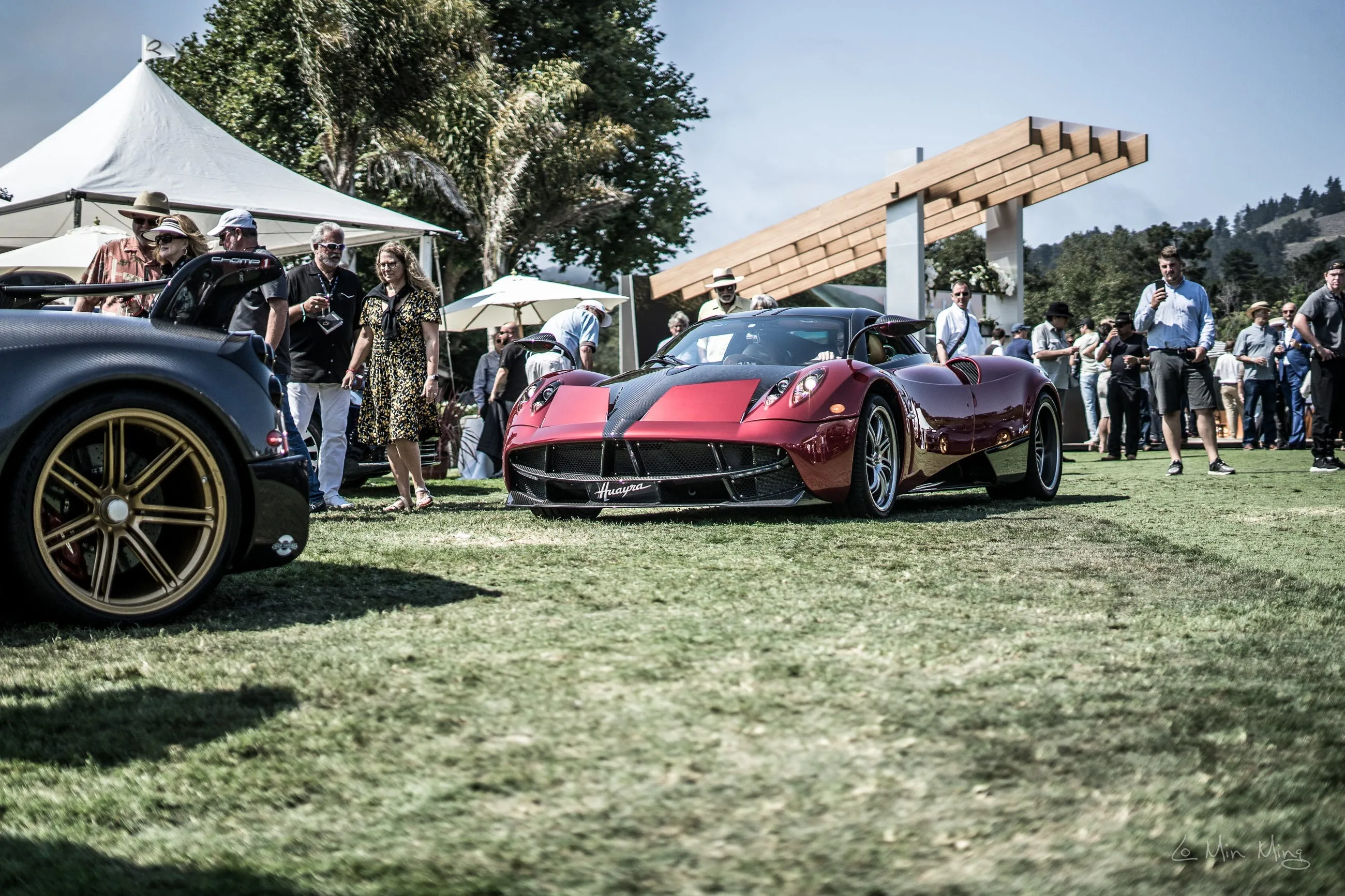 Pagani detail view 19