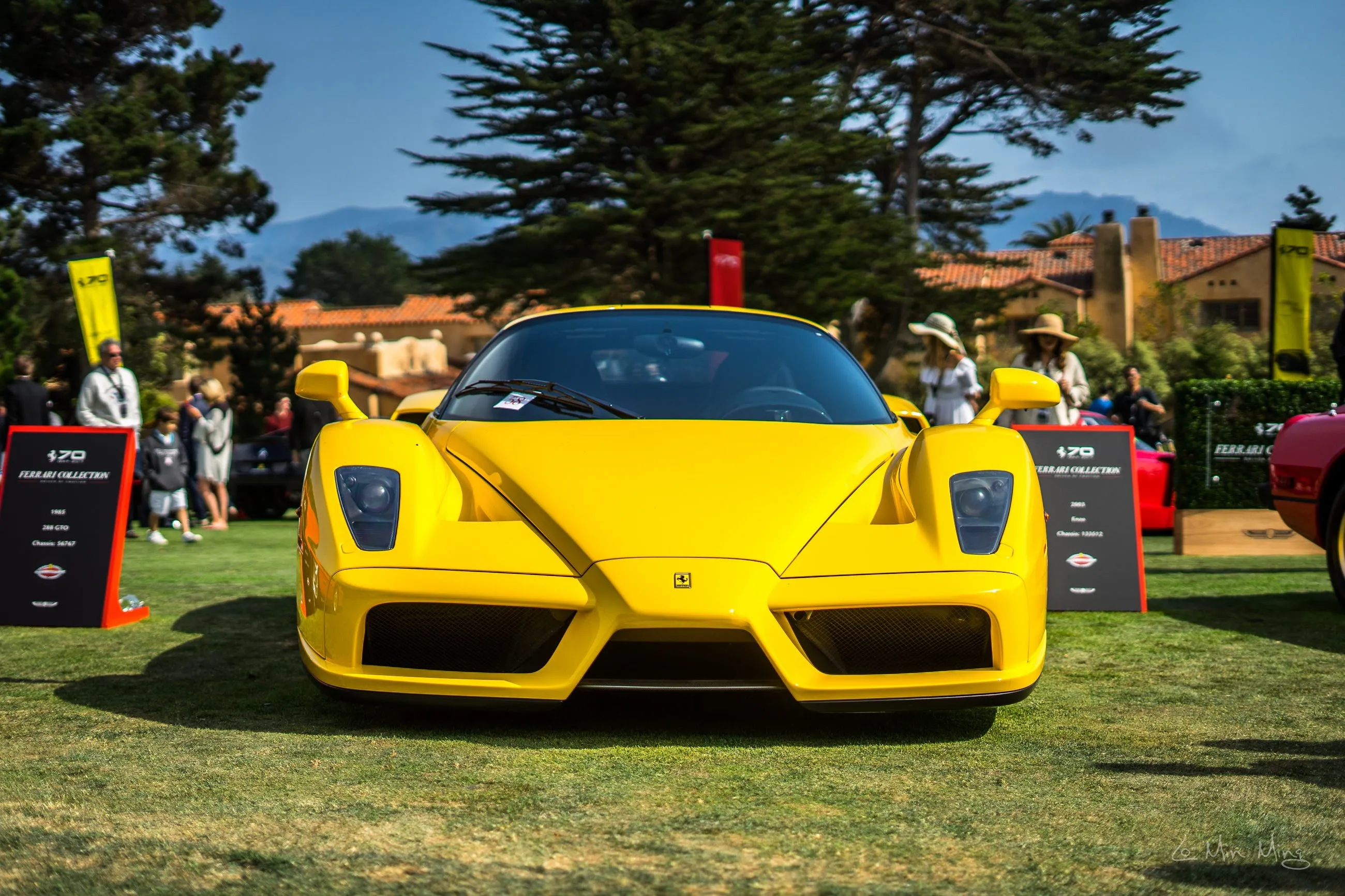 Ferrari Enzo view 1