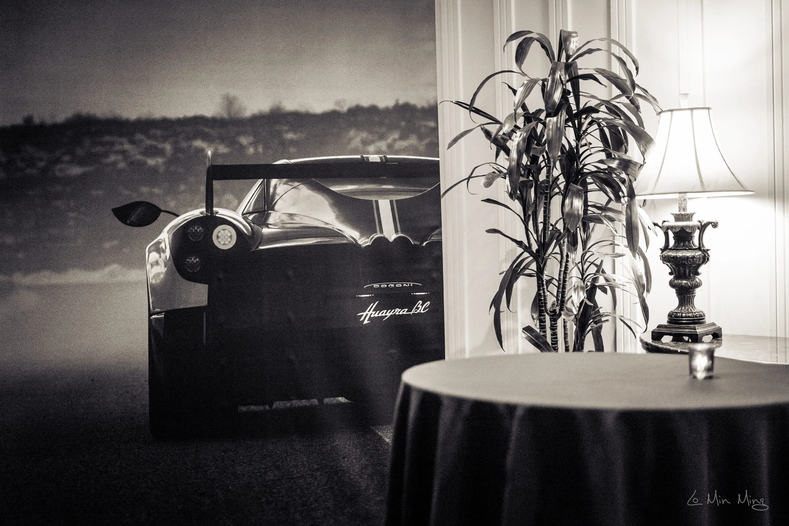 Pagani rear detail