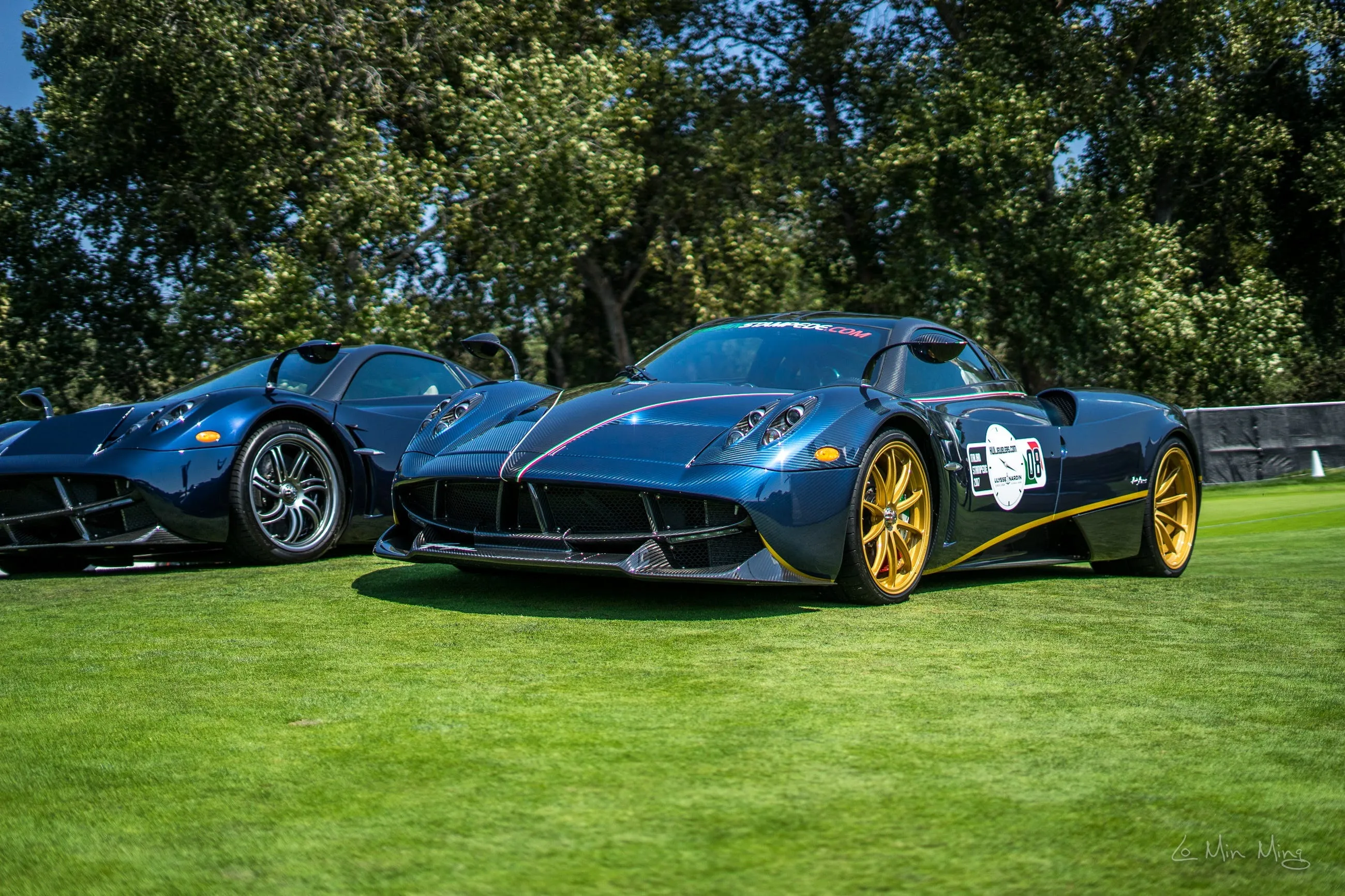 Pagani detail view 22