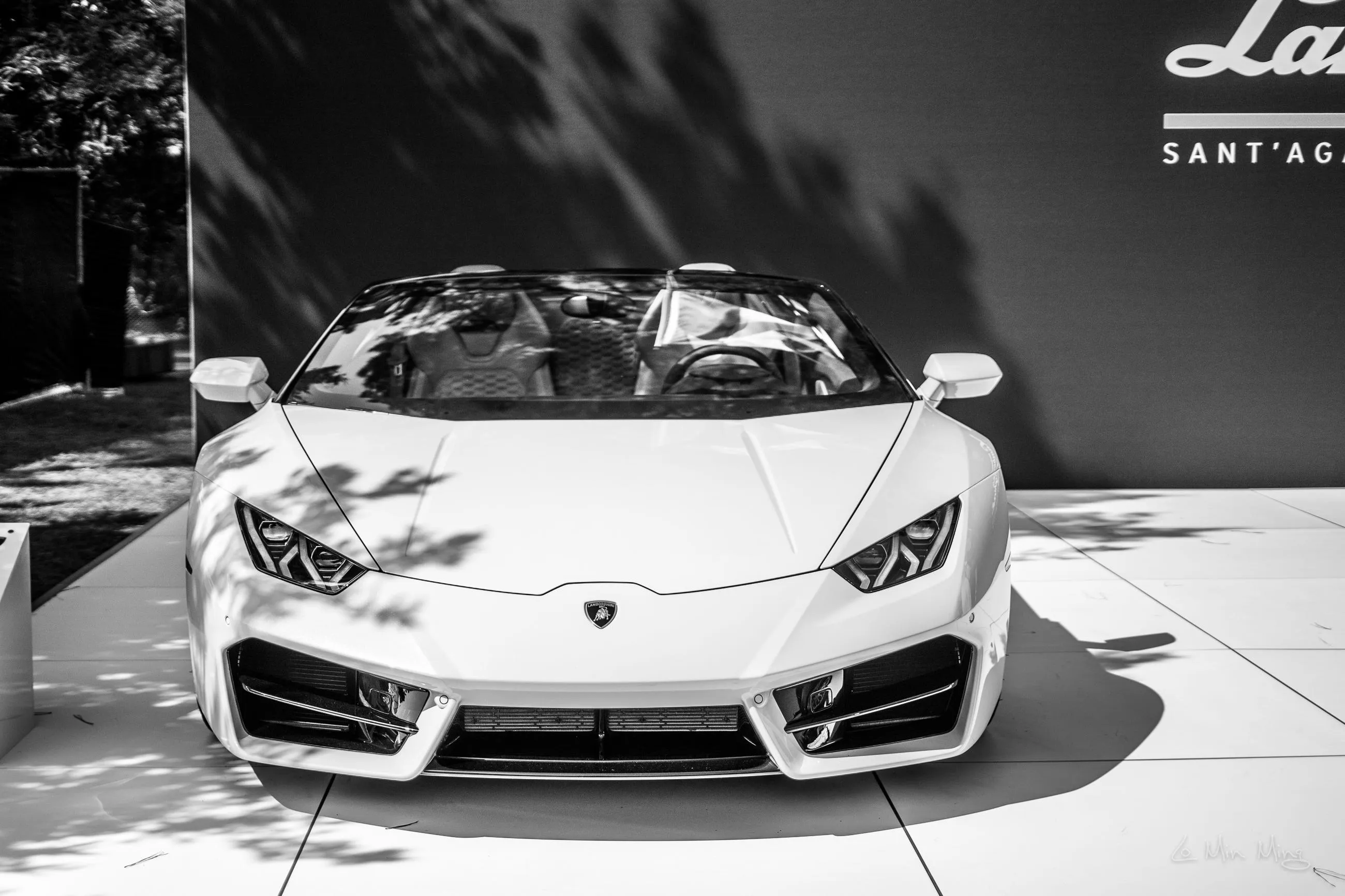 Lamborghini final display view