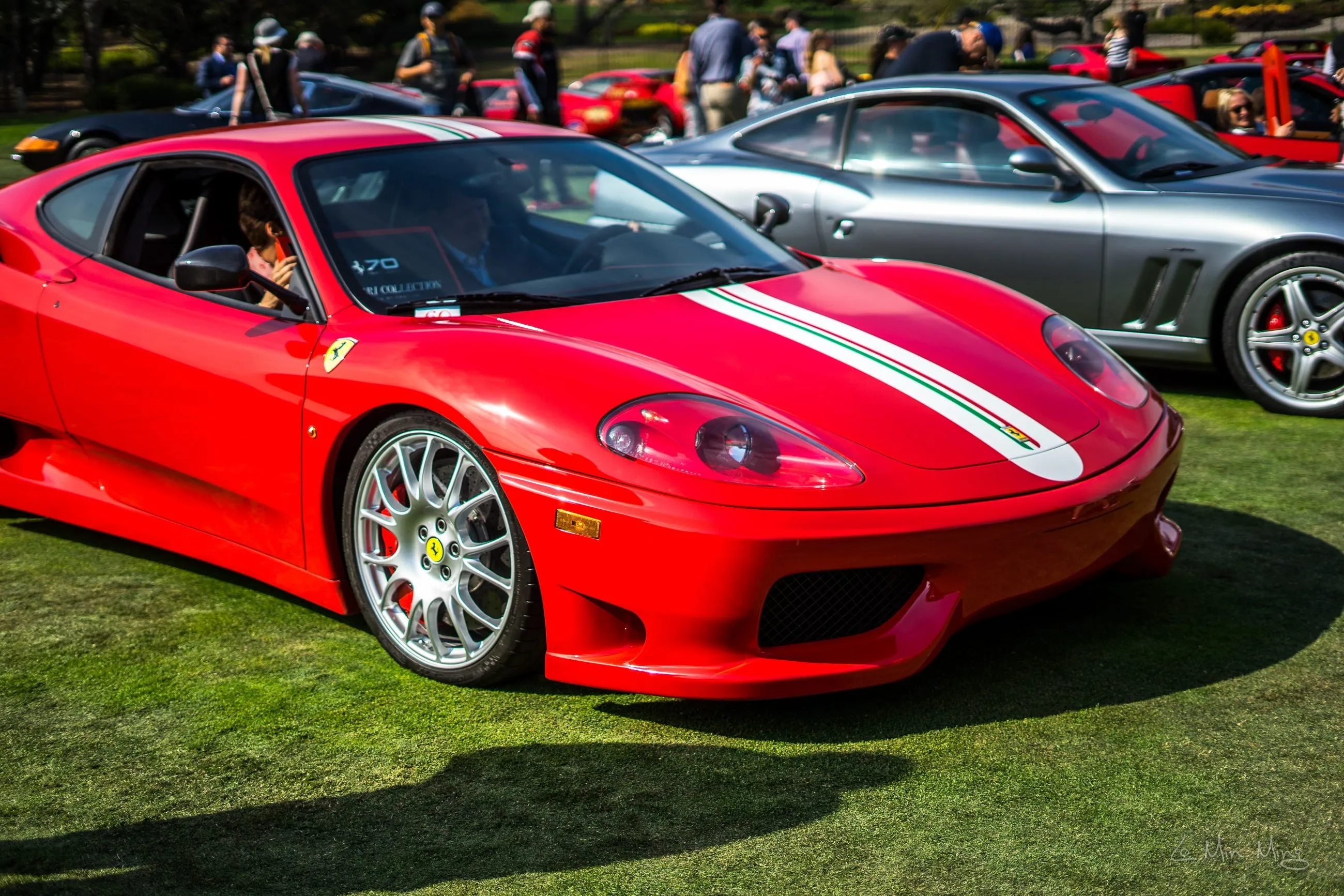 Ferrari display detail 5