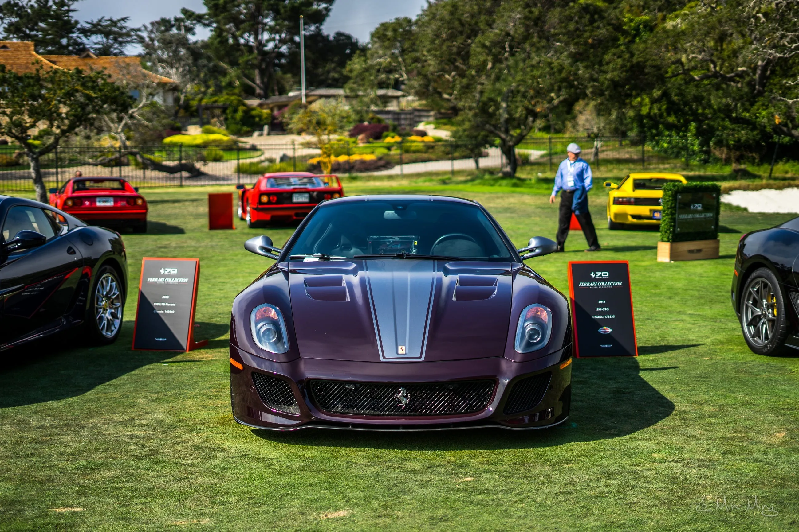 Ferrari display detail 7
