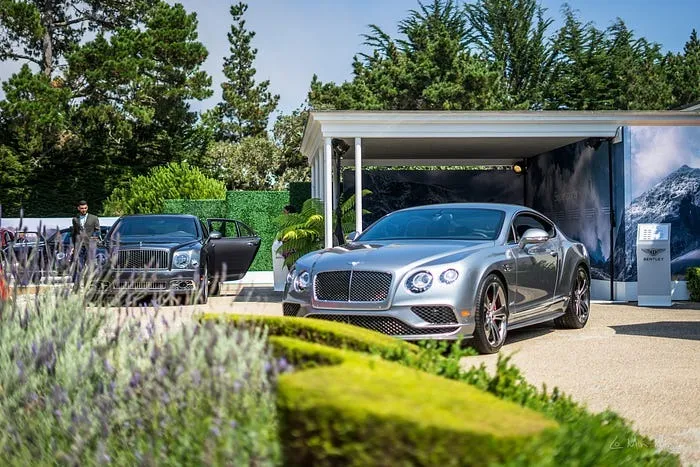 Bentley Continental GT Supersports view 9