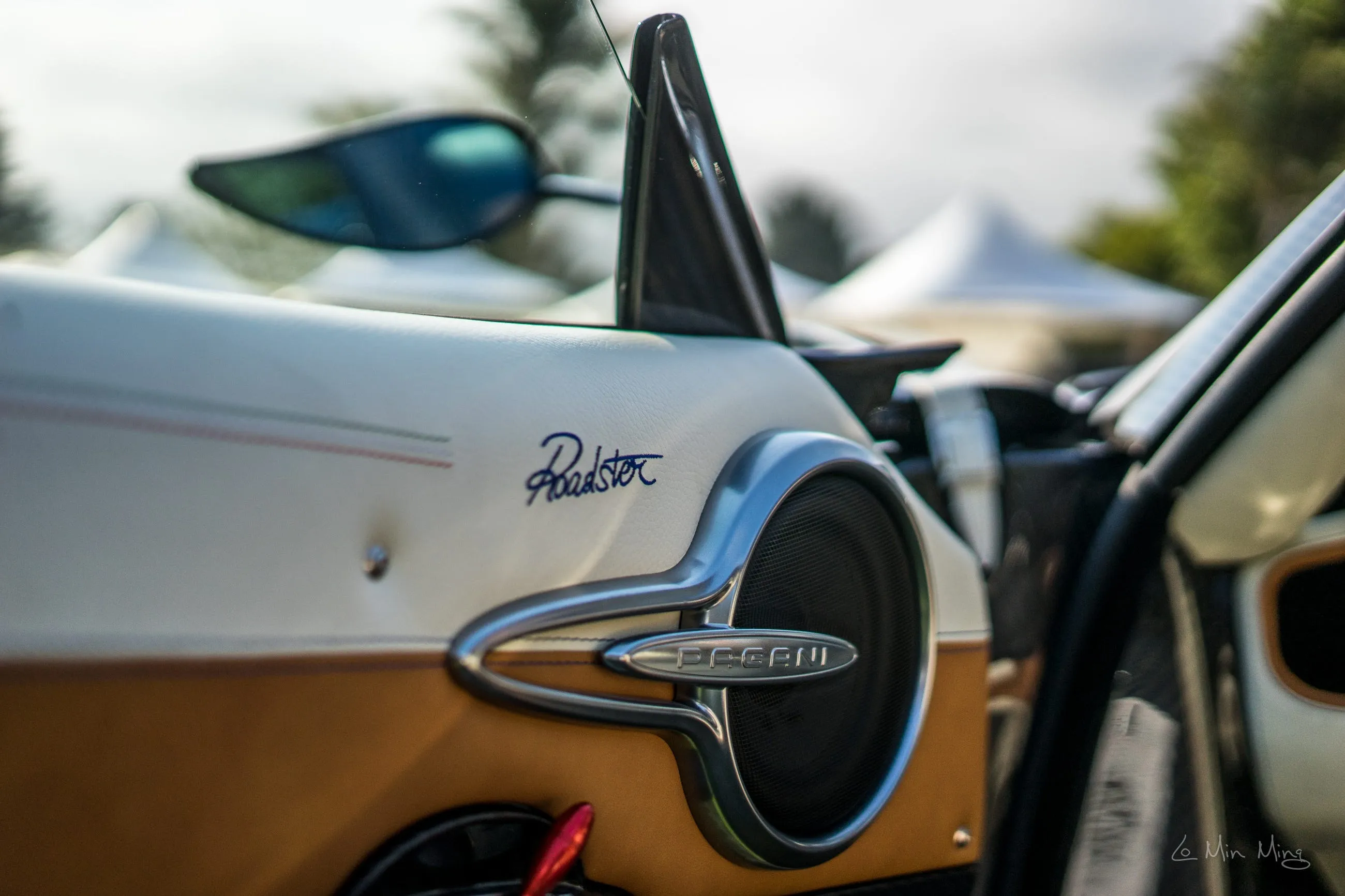 Pagani interior 3