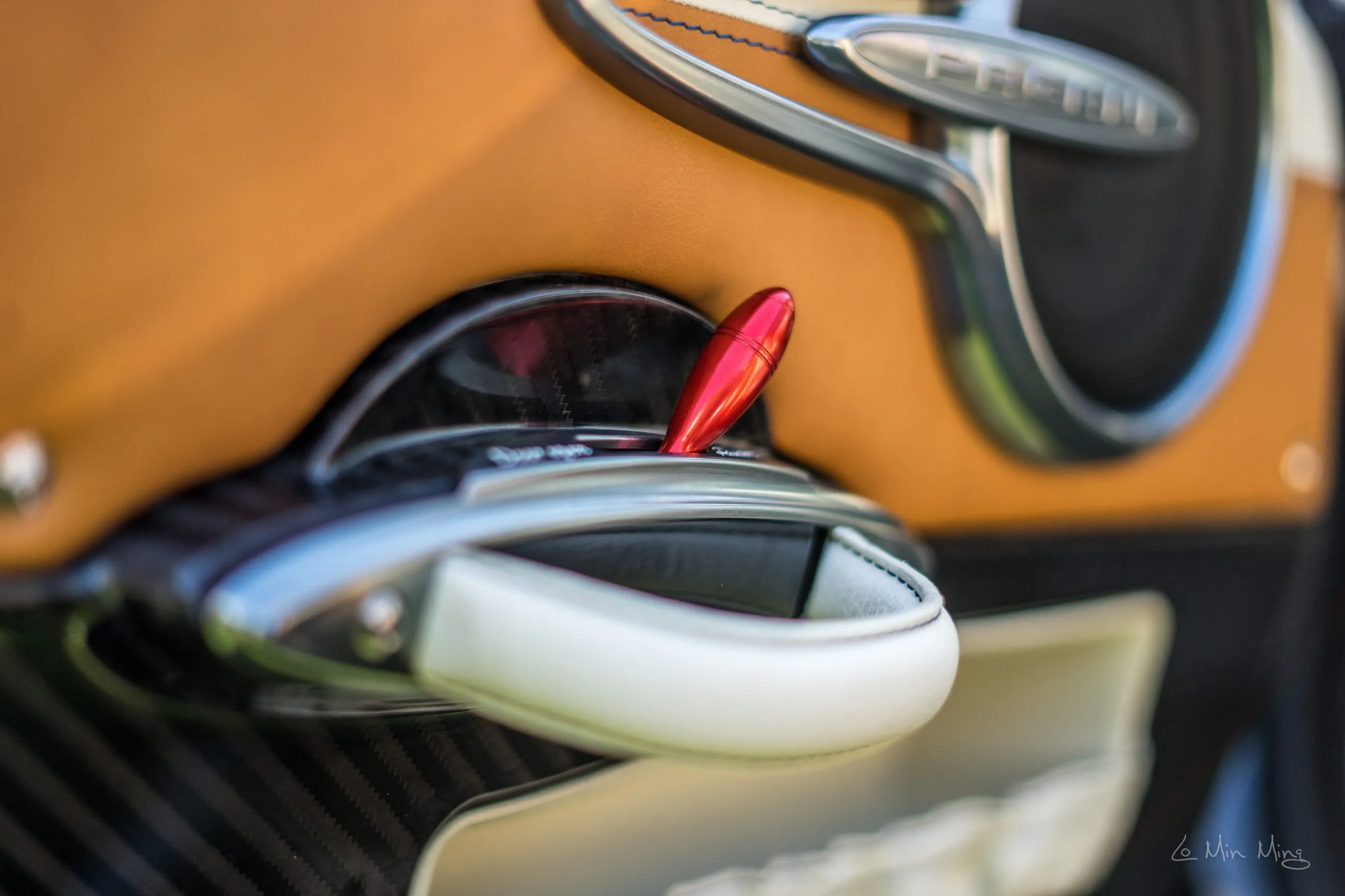 Pagani exterior detail two