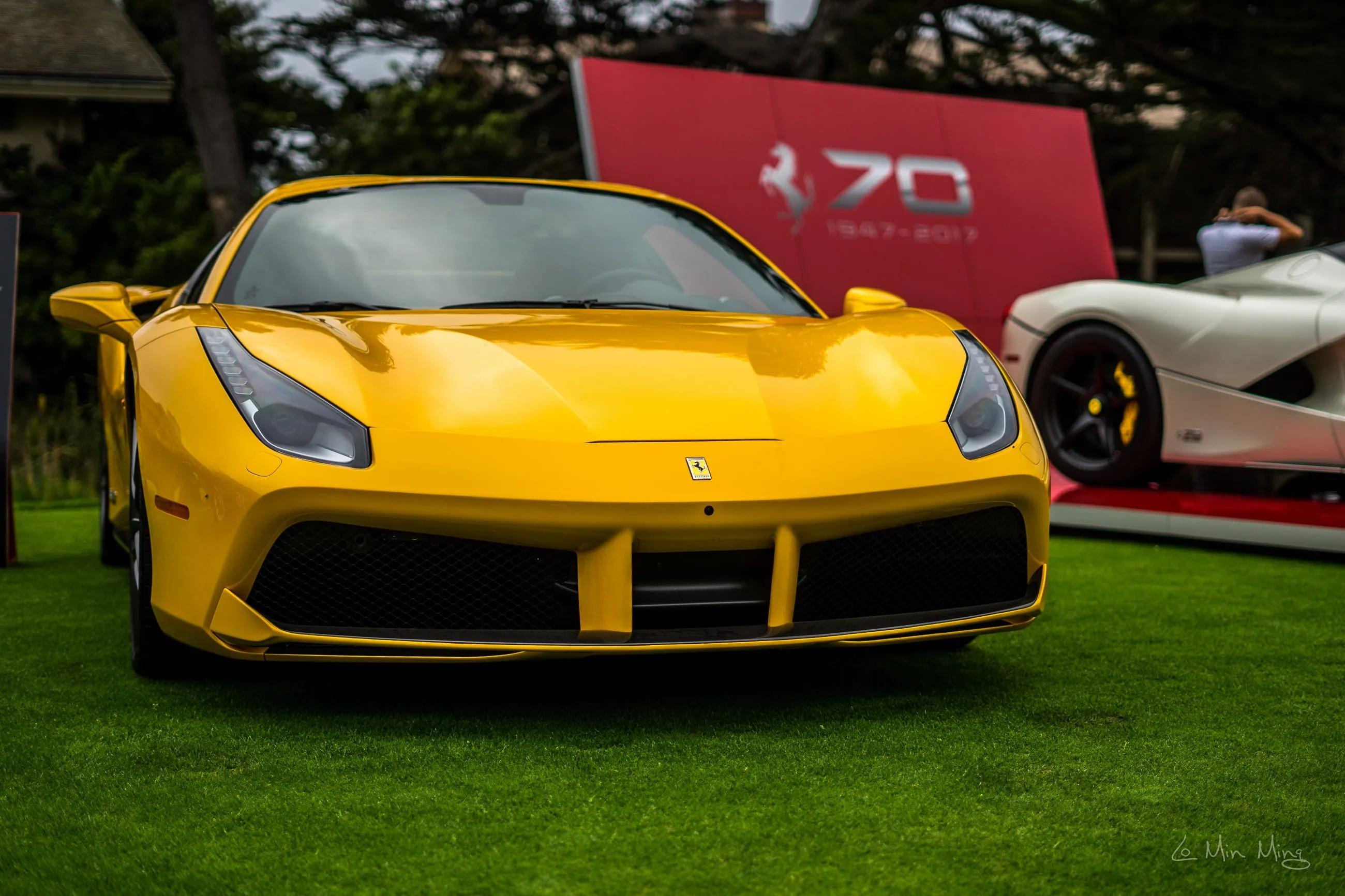 Ferrari display detail 13