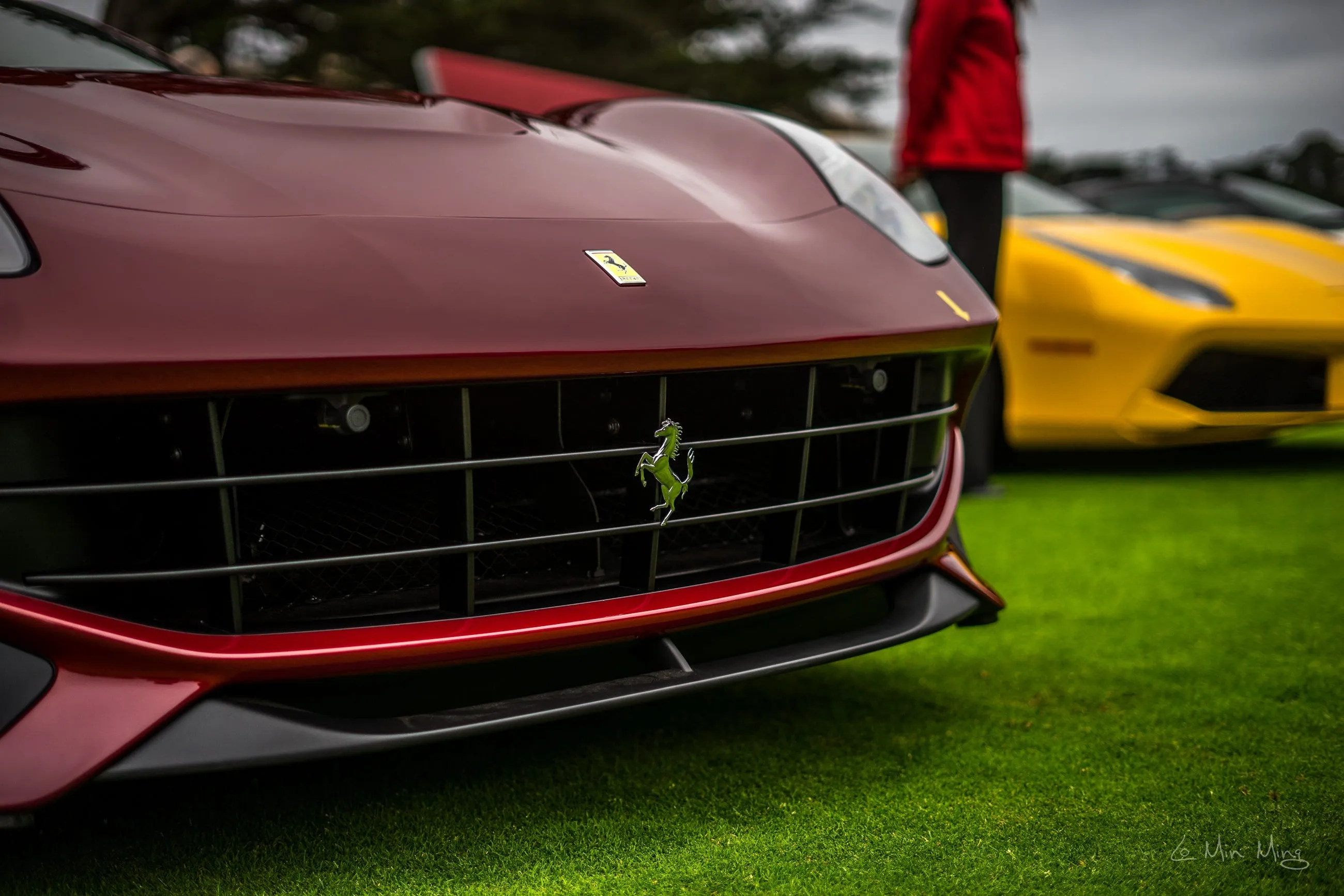 Ferrari display detail 15
