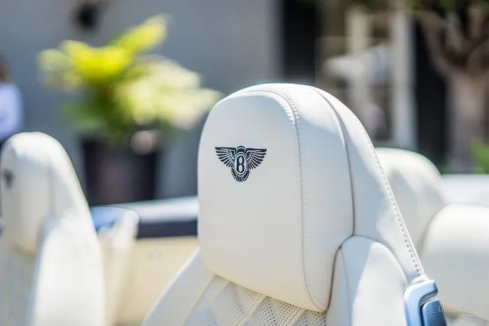 Bentley Continental GT Supersports view 17