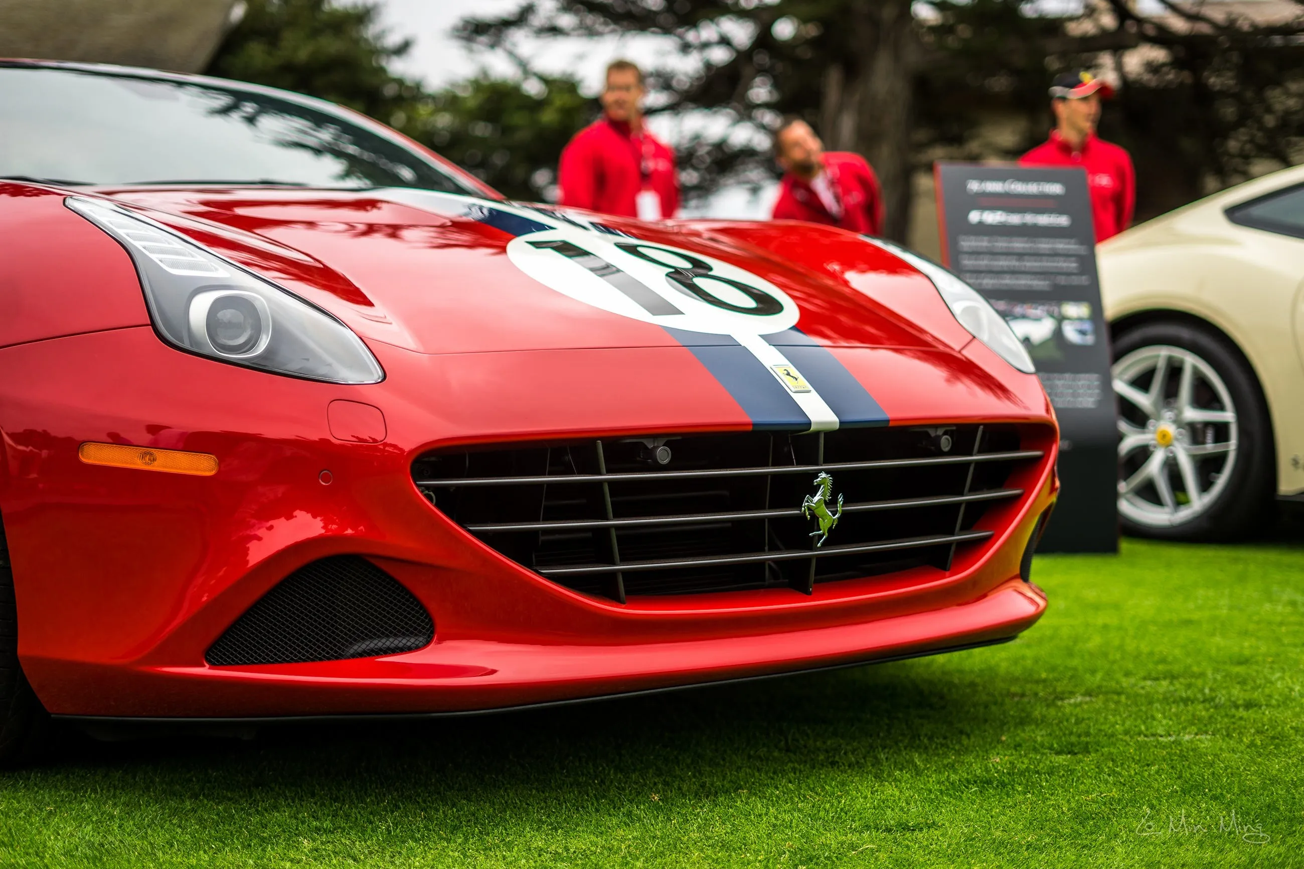 Ferrari display detail 16
