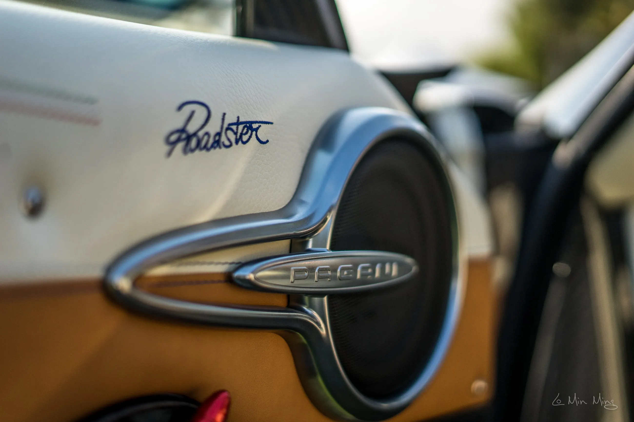 Pagani wheel detail