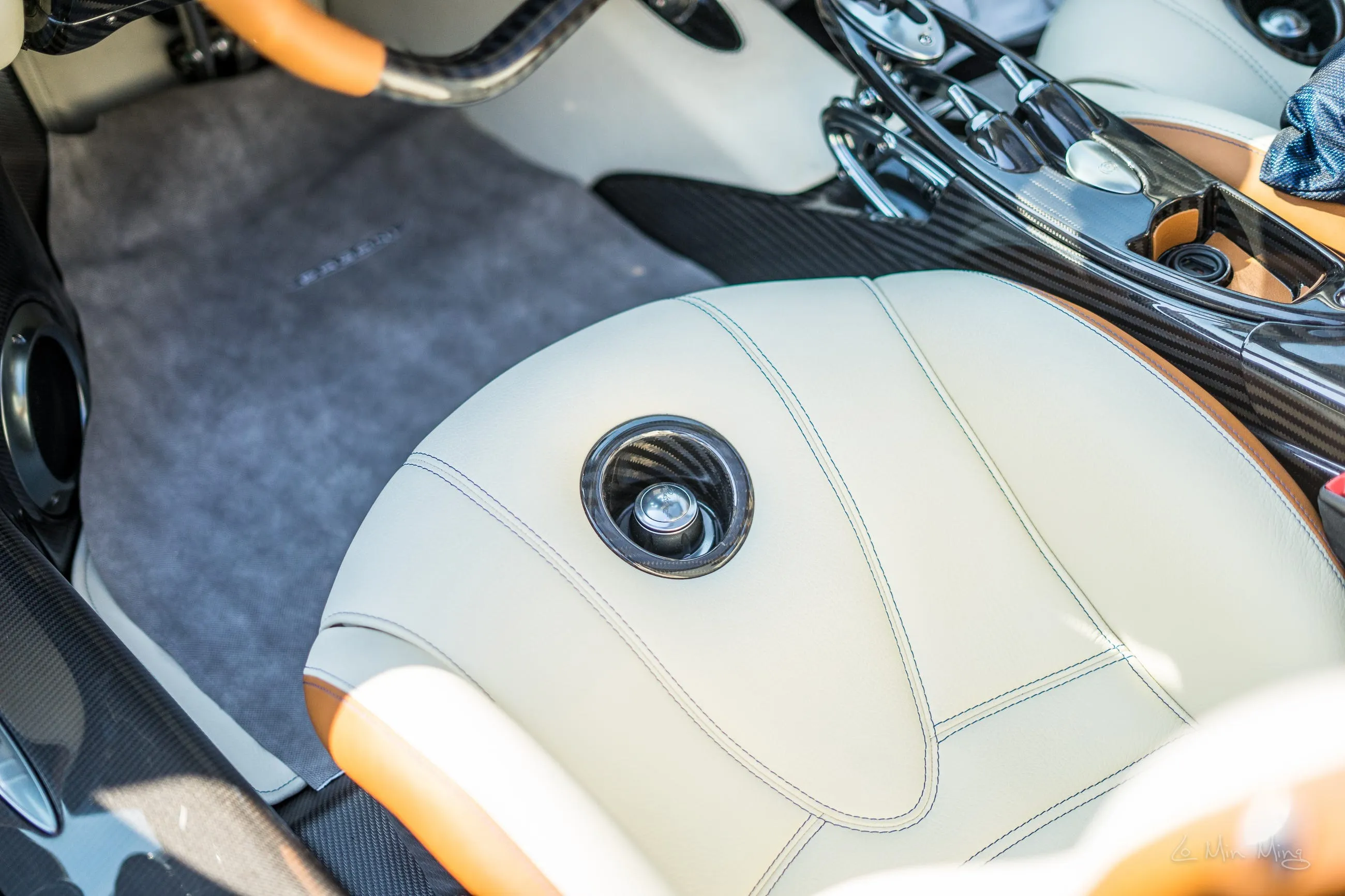 Pagani rear detail
