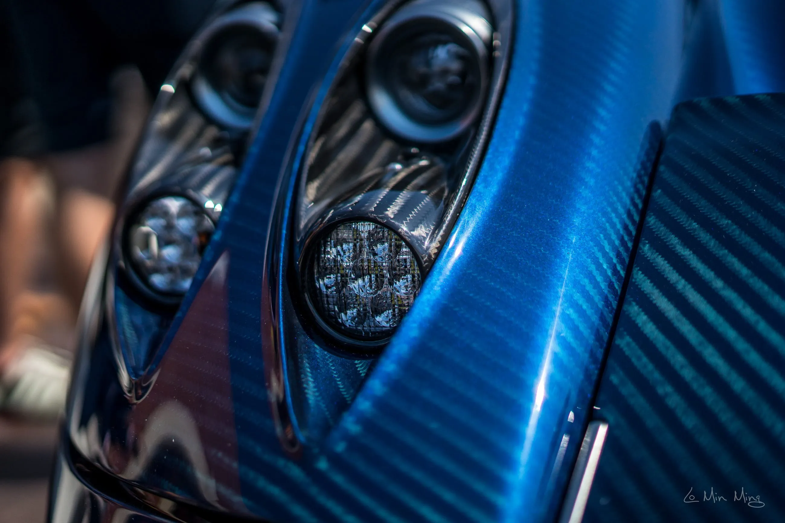 Pagani lawn detail