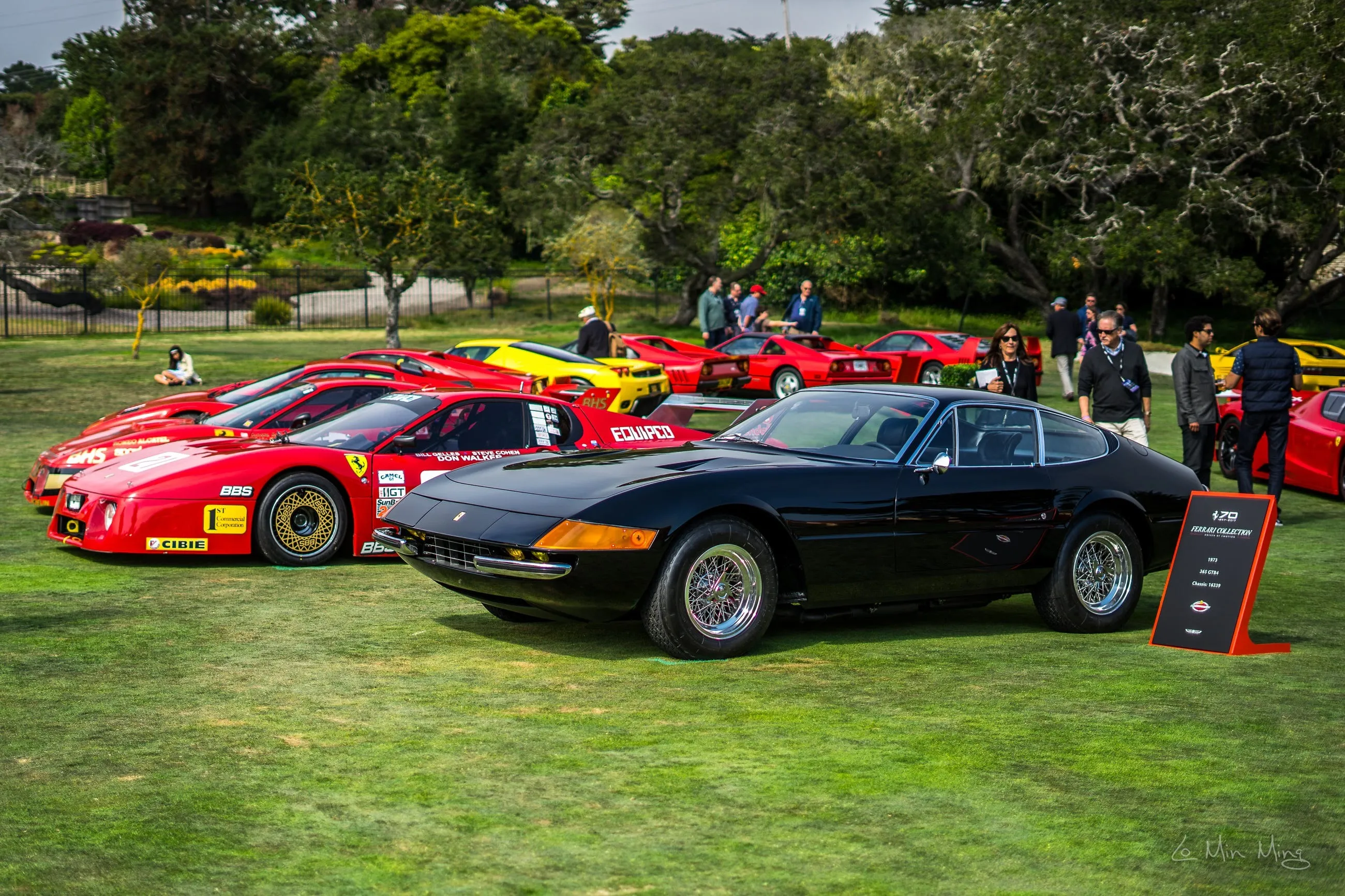 Ferrari celebration overview 6