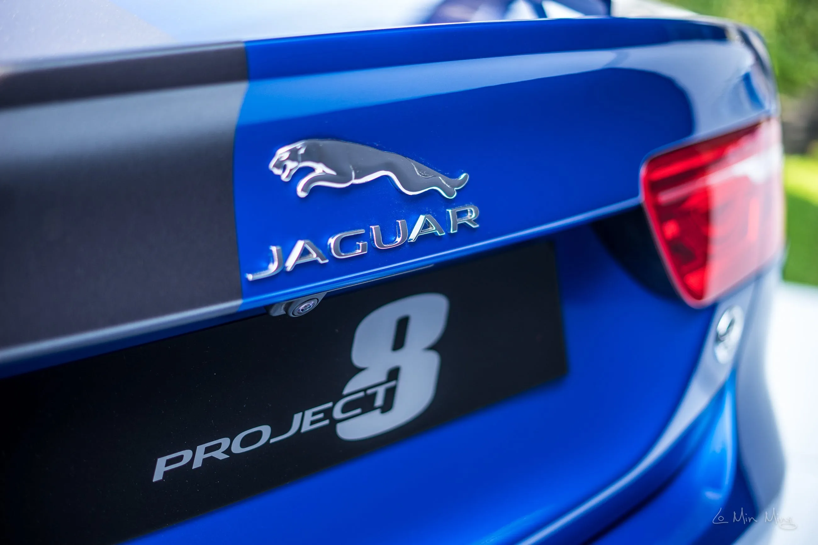 Jaguar body detail at The Quail